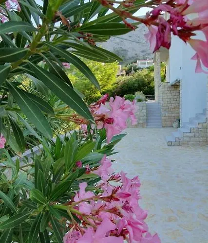 Salt & Stone Villa *