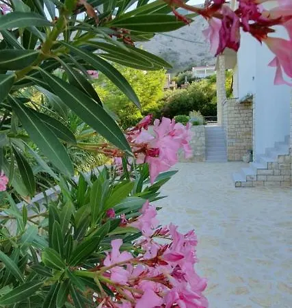 Salt & Stone Villa *